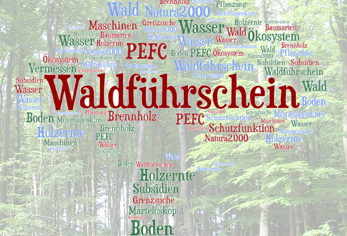 Waldführerschein 2024