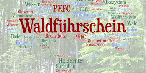 Waldführerschein 2023
