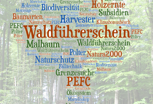 Waldführerschein 2023 - News