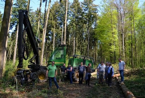 Wieso? Erneuerung vorantreiben – im Wald, und im Verein.