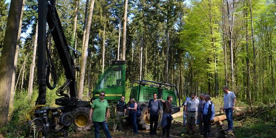 Wieso? Erneuerung vorantreiben – im Wald, und im Verein.