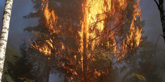 Waldbrandgefahr!