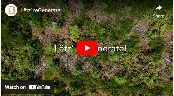 Film Lëtz' reGenerate! - Actualités