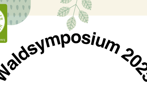 Waldsymposium am 24.09.2025