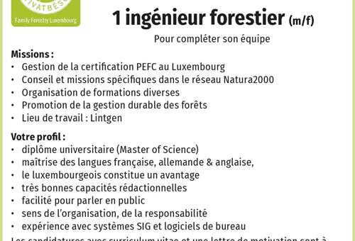 Stellenangebot - News