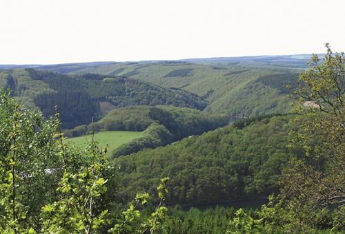 Waldführerschein - Kurse - Leistungen