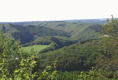 Contrat de génération forêt privée