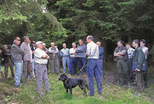 Ökosystem Wald - Der Wald